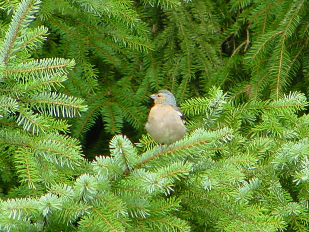 859 DSC02704.JPG