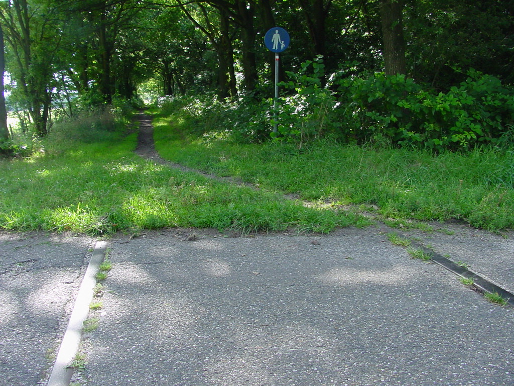 859 DSC02718.JPG
