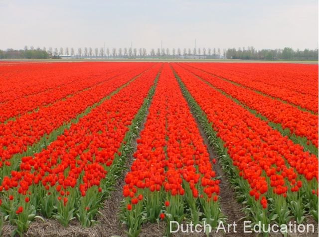 centraal-perspectief-met-tulpen-en-bomen_2_wXGAx7.jpg